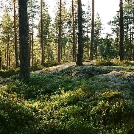 Fish & Fun Village *