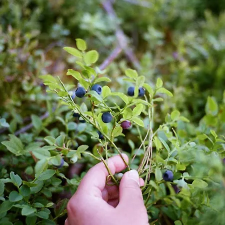 Дом отдыха Fish & Fun Village