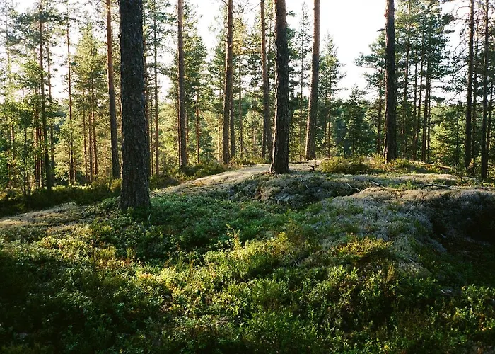 Fish & Fun Village *