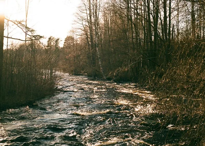 Fish & Fun Village * Paaso