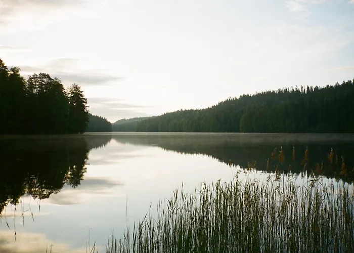 Fish & Fun Village *