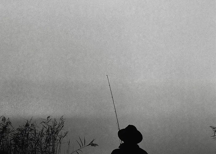 Fish & Fun Village * Paaso