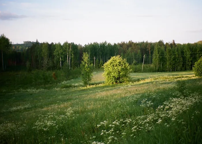 Fish & Fun Village 度假居 *